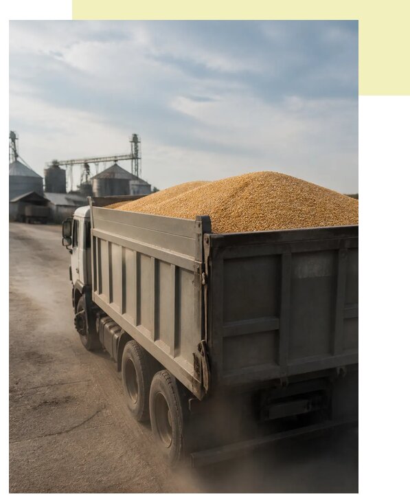 Перевозка сельхозпродукции навалом в Богородицк по цене от 3206 р. | Агросервис-Бгд